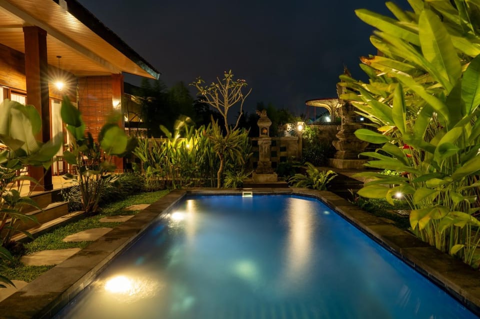 Night, Garden view, Swimming pool
