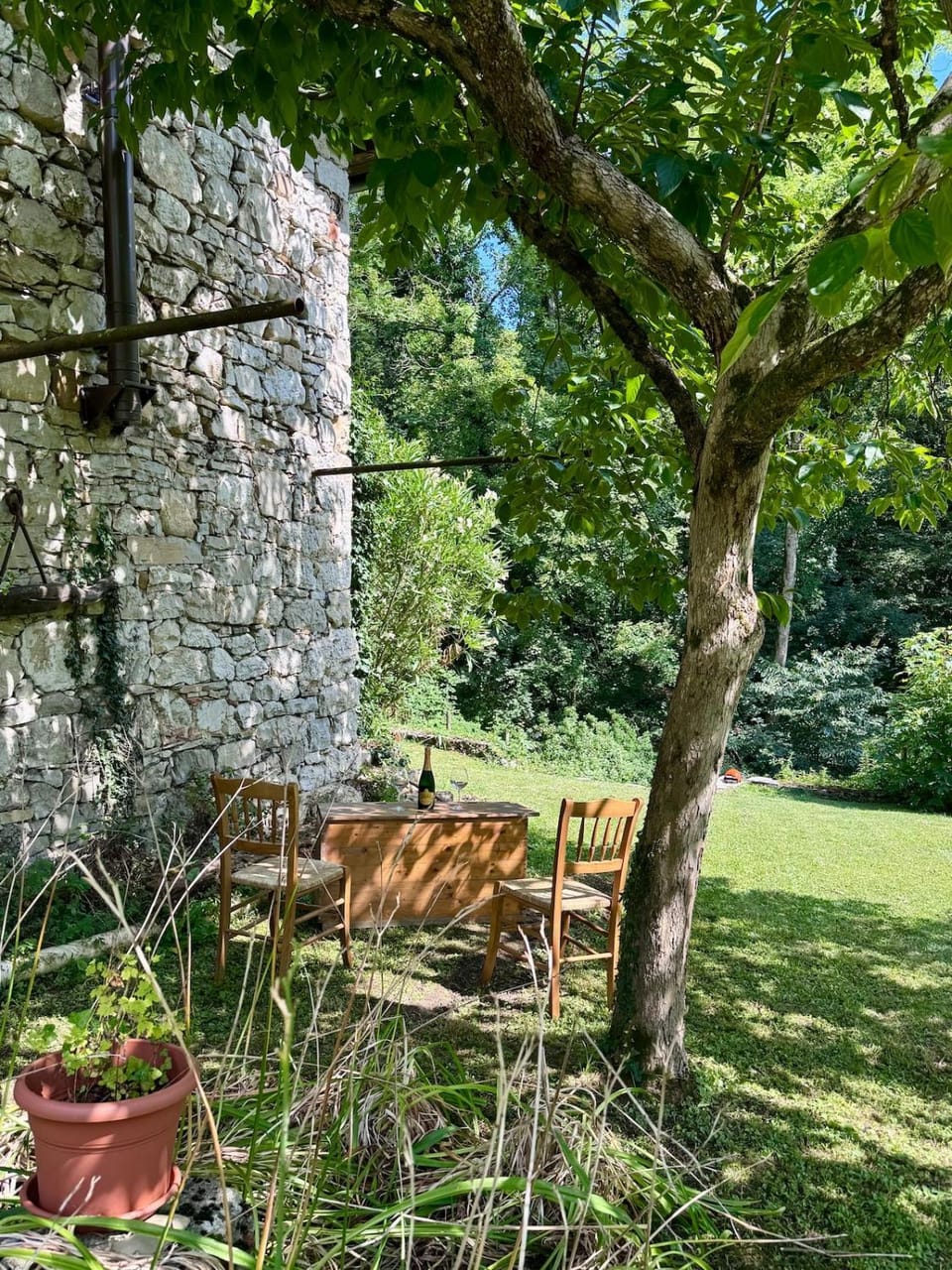 Spring, Garden view