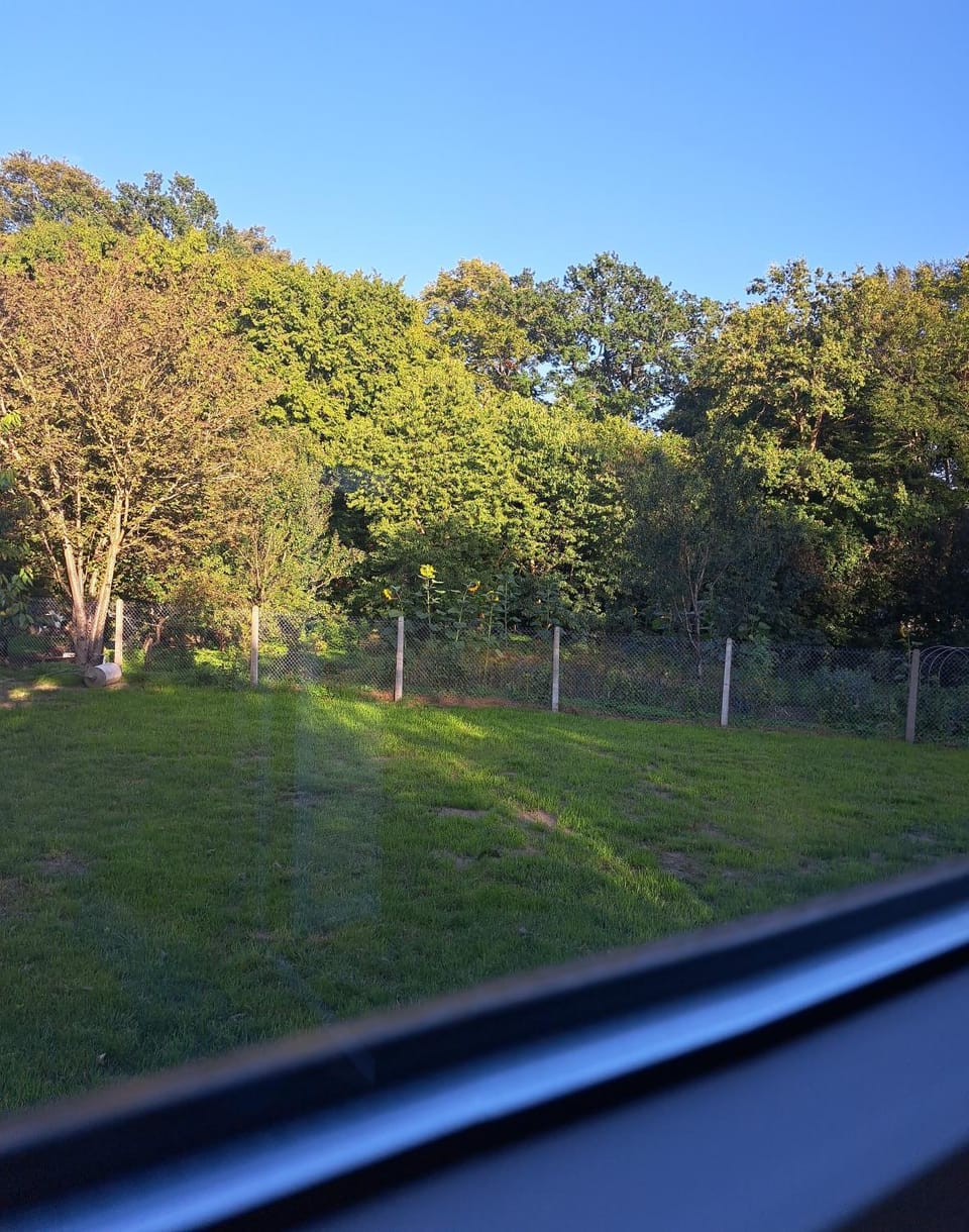 Garden, Garden view