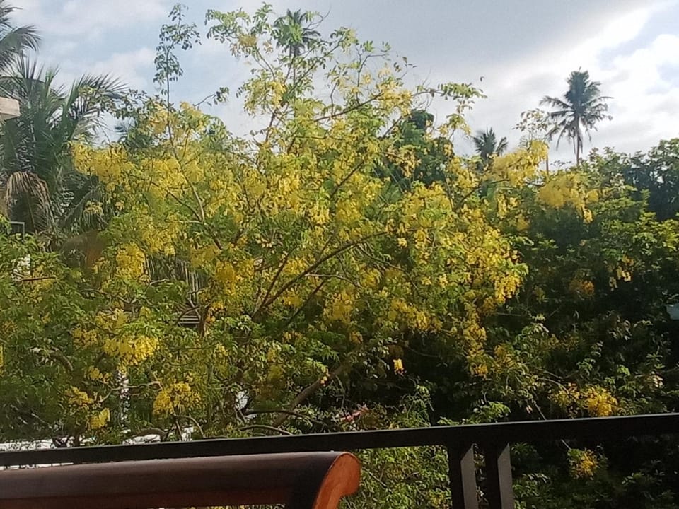 Golden Gate Bed and Breakfast in Galle