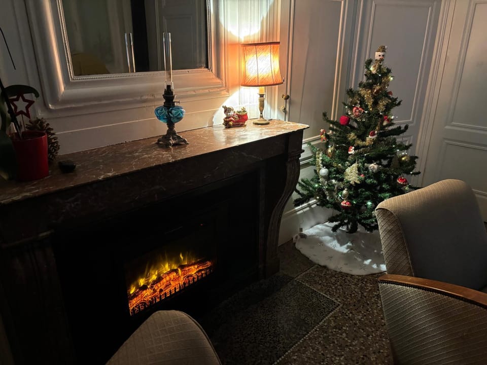 Le Victor Hugo - Lyon Centre Apartment in Lyon