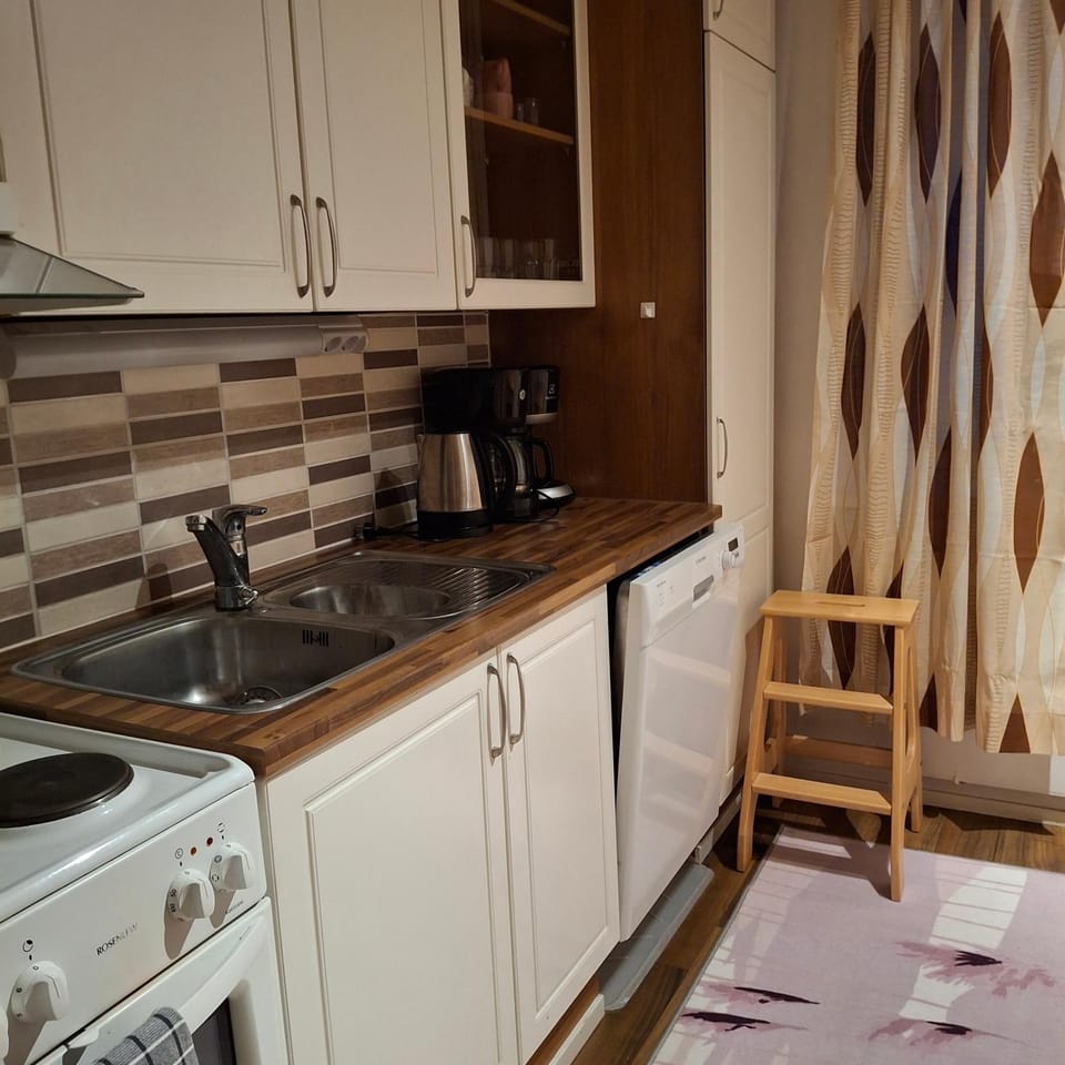 Kontiopuisto Apartment in Finland