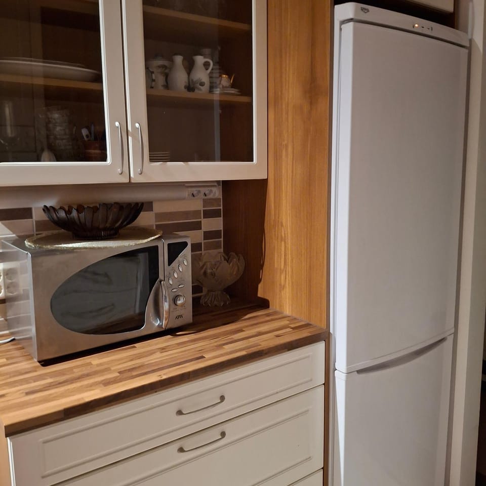 Kontiopuisto Apartment in Finland