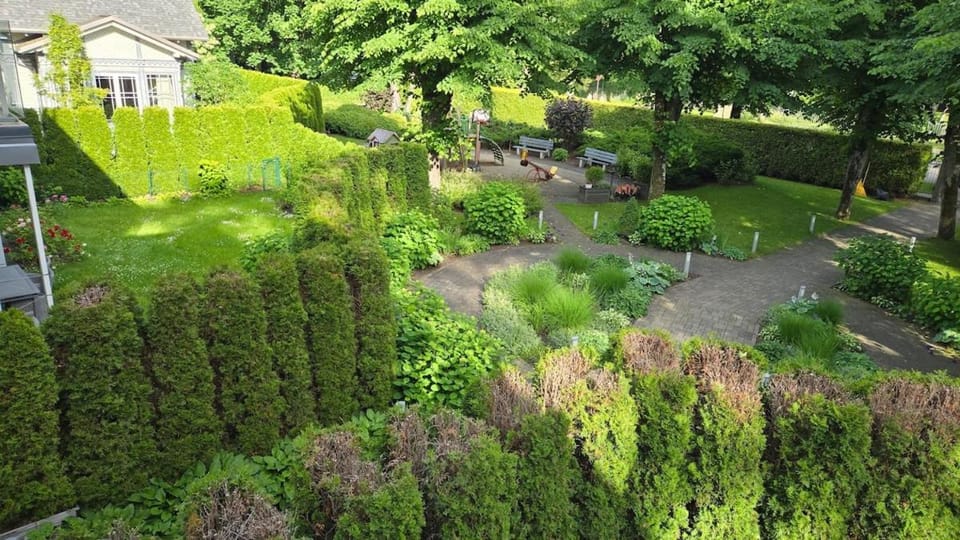 Garden view