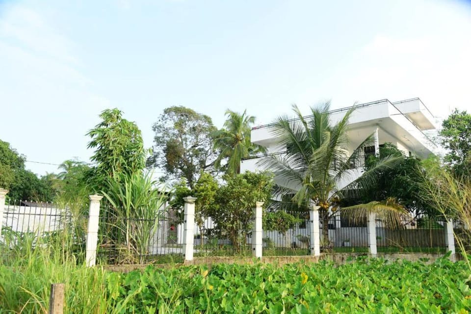 Property building, Natural landscape, Garden view