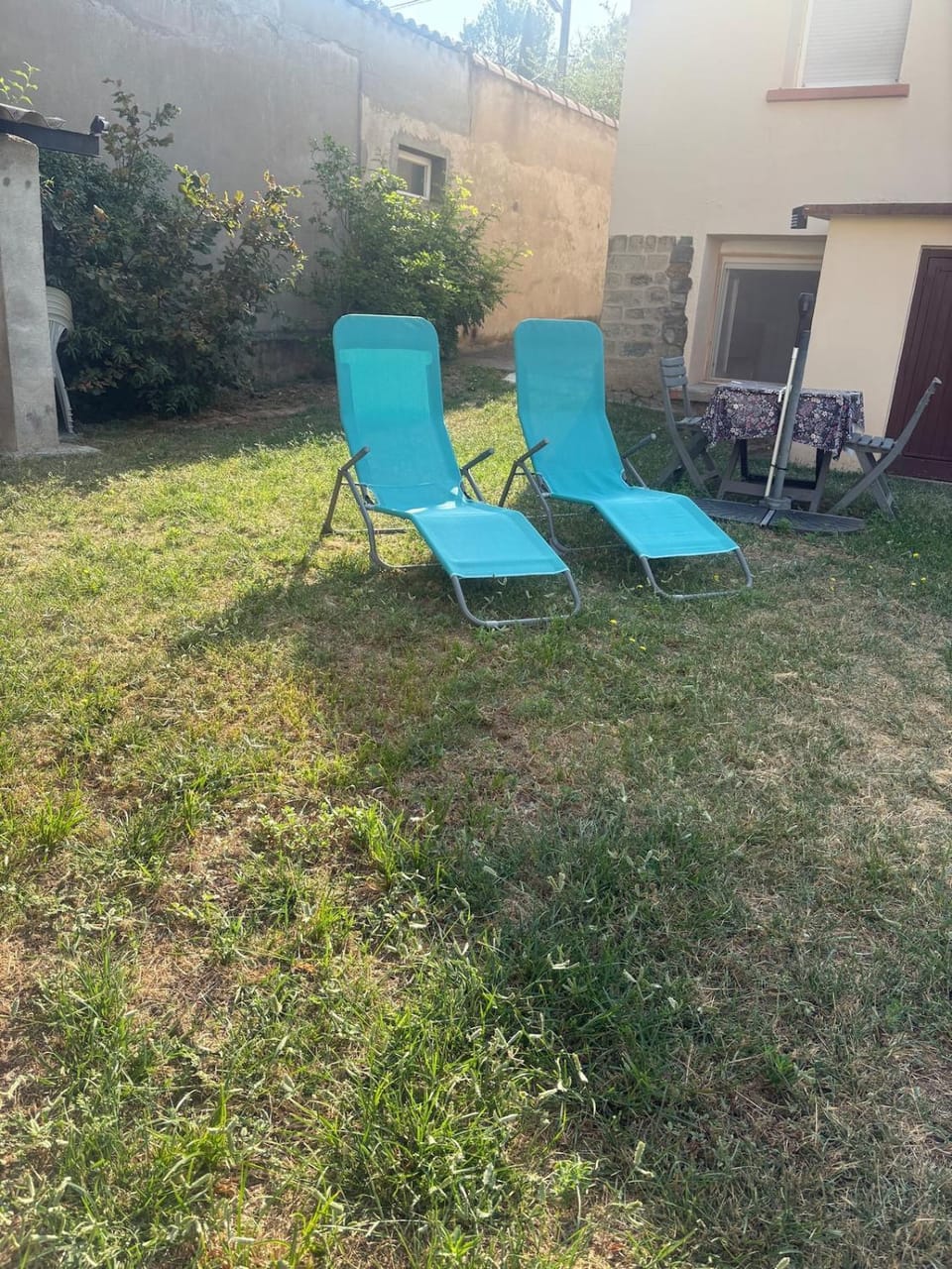 Garden, Garden view, sunbed
