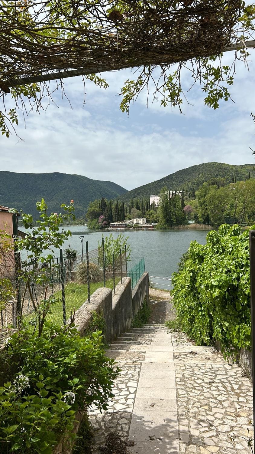Natural landscape