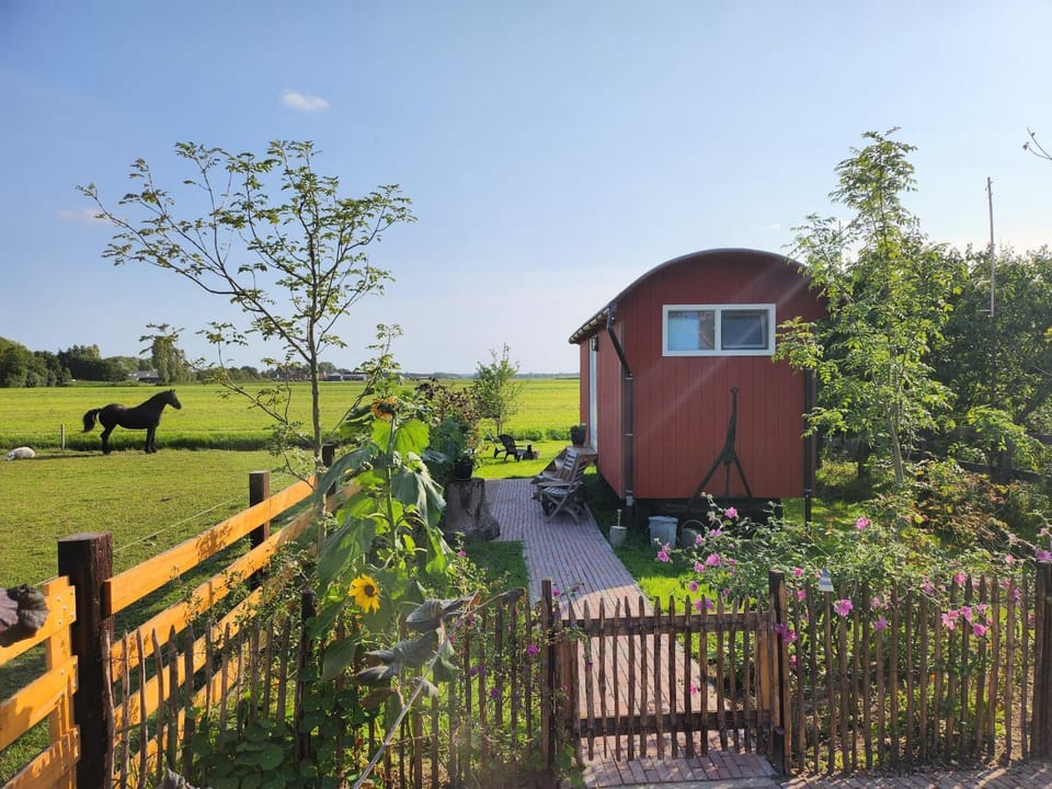 Day, Garden, Garden view