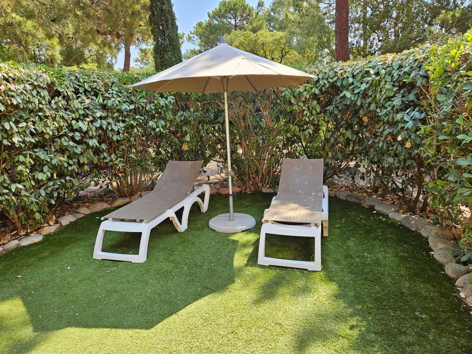 Garden view, sunbed