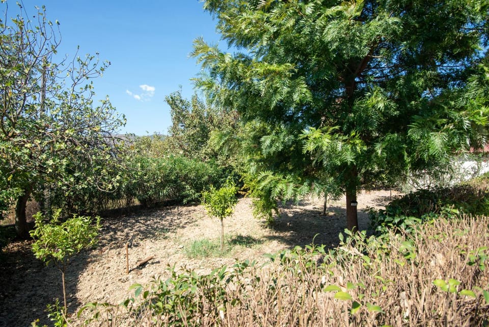 Spring, Day, Natural landscape, Garden, Garden view