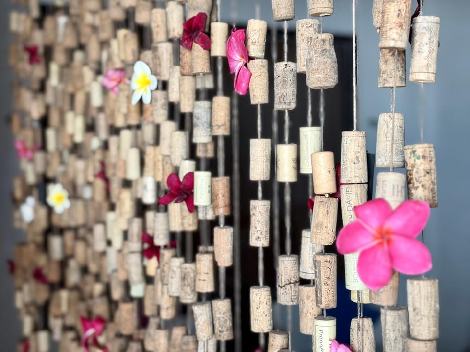 Coco and Corks Villa Vacation rental in Negombo