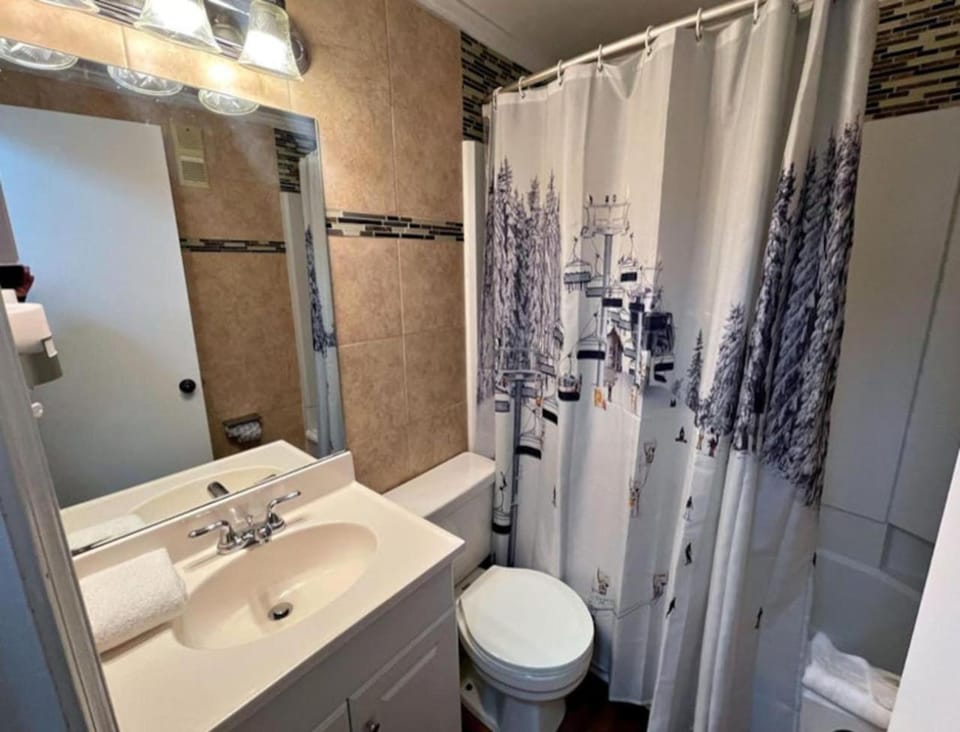 ML282 Cozy 2BR 2BA Mountain Views Ski-in Ski-out Apartment in Snowshoe