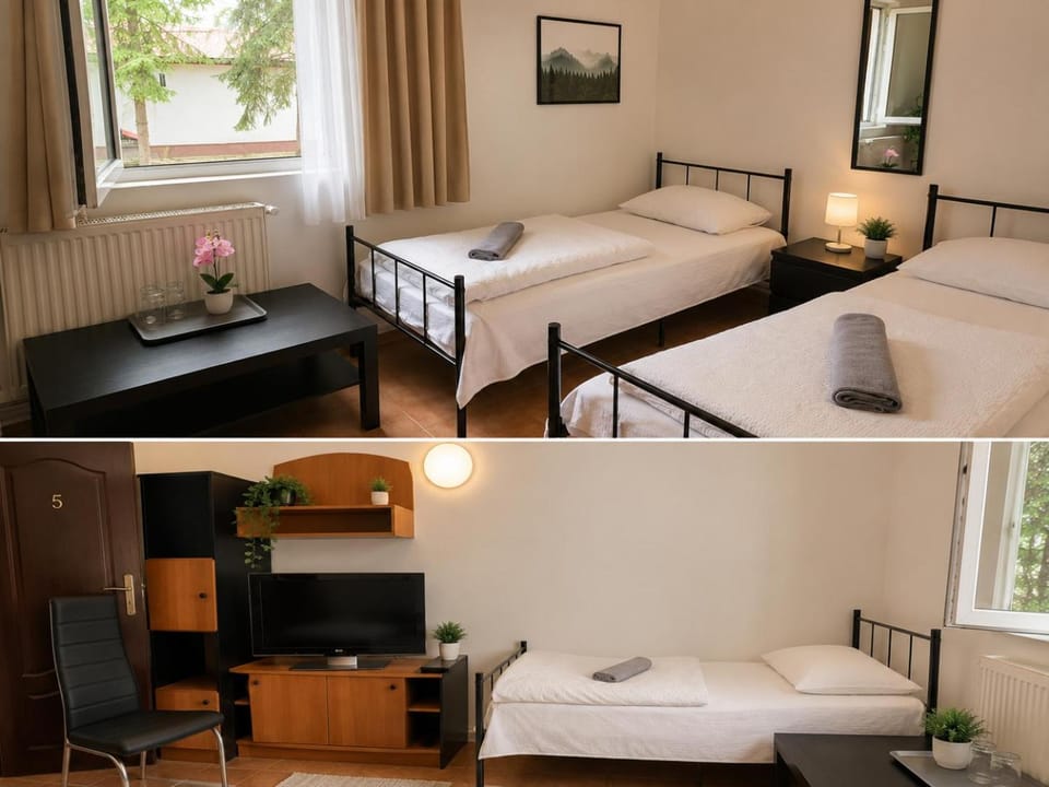 Cabana Lir Bed and Breakfast in Timiș County