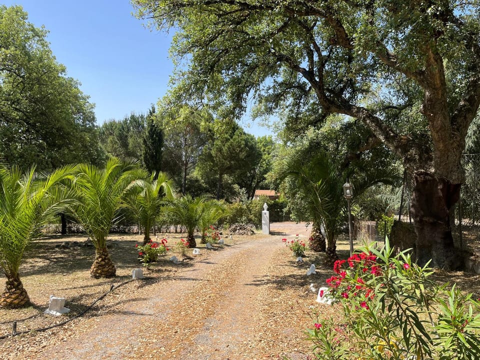 Villa Amigo, Casa Rural espectacular en Sierra de Aracena House in Sierra de Huelva