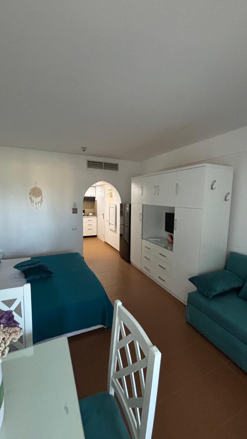 Bed, TV and multimedia, Kitchen or kitchenette, Photo of the whole room, Dining area