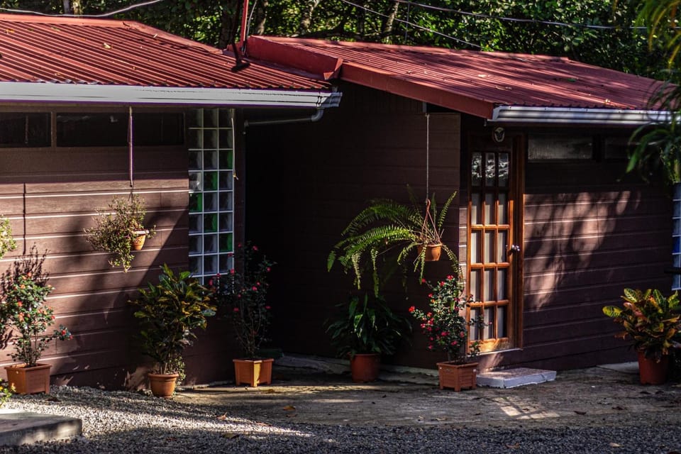 Property building, Patio, Facade/entrance