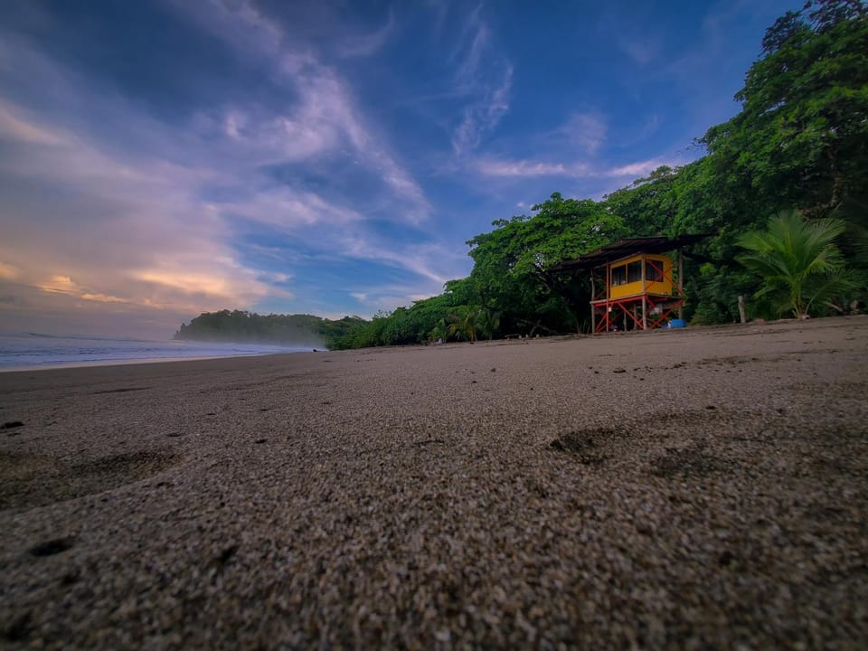 Natural landscape, Beach, Hiking
