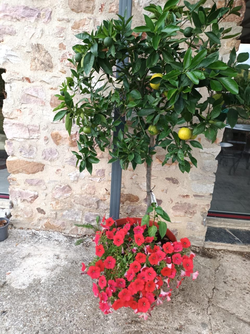 Chez Zabou chambre nature Bed and Breakfast in Pays de la Loire