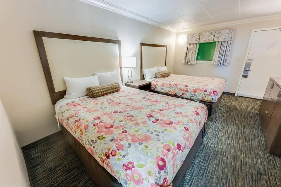 Heated pools and direct oceanfront at Coral Beach House in Myrtle Beach