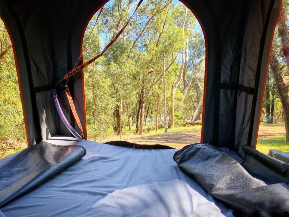 Bed, Natural landscape, bunk bed