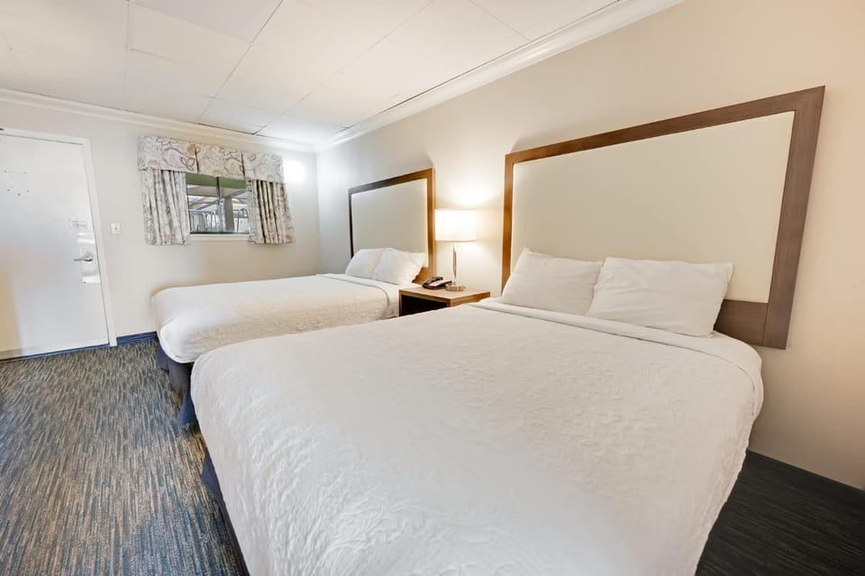 New Oceanfront 1BR - Coral Beach w Heated Pools! House in Myrtle Beach