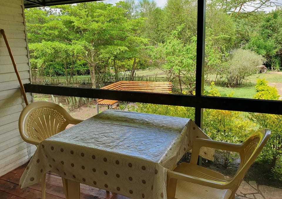 Patio, Spring, Day, Garden, View (from property/room), Balcony/Terrace, Dining area, Garden view