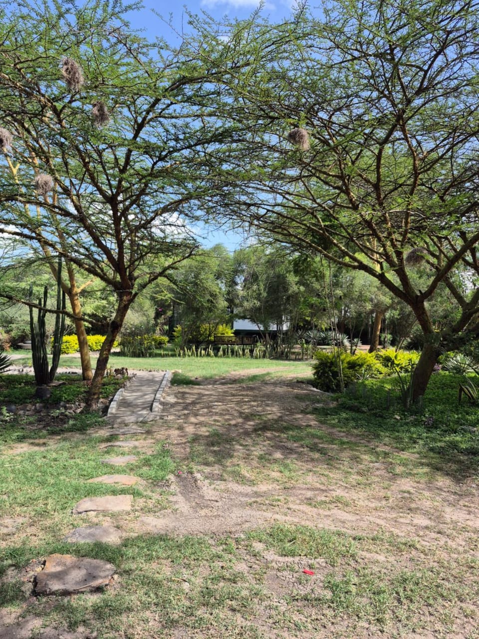 Property building, Natural landscape, Garden, Garden view, Parking