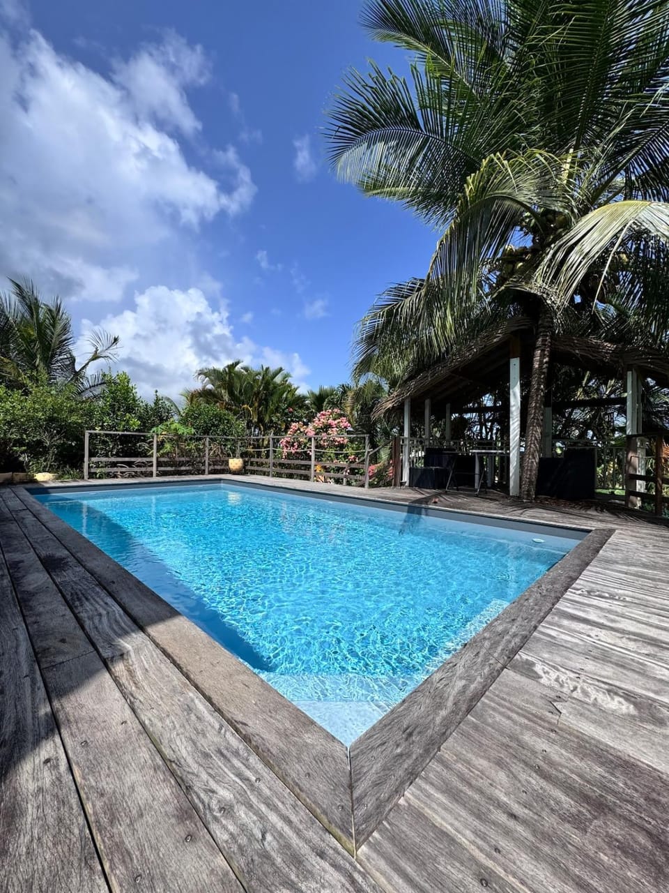 Garden, Swimming pool