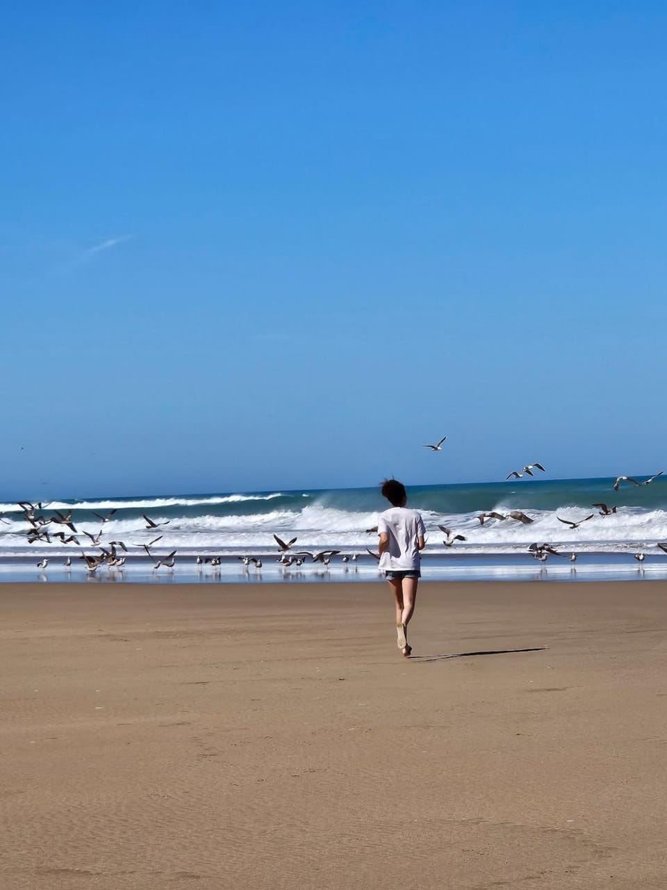 Natural landscape, Beach