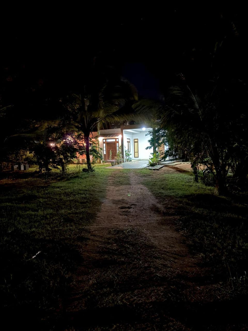 Night, Natural landscape, Garden, Garden view