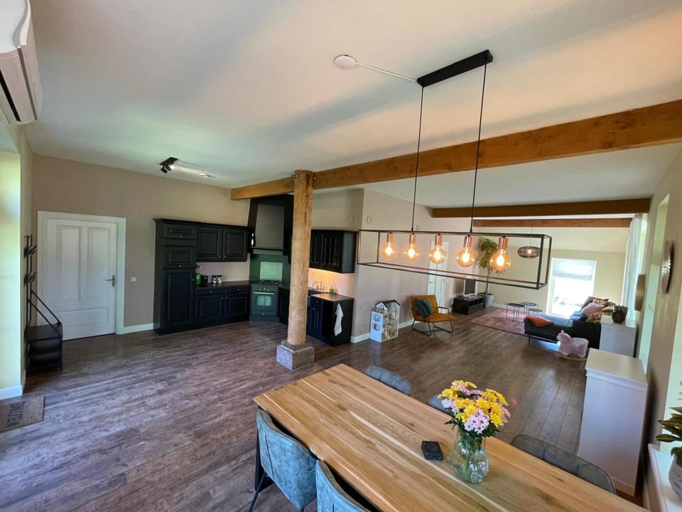 Kitchen or kitchenette, Dining area, oven, stove