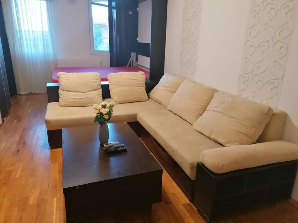 Bright and Cozy Flat near Center - Queen, Bunk and Sofa-Beds plus Large Terrace Apartment in Skopje