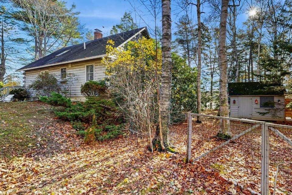 Property building, Day, Garden view