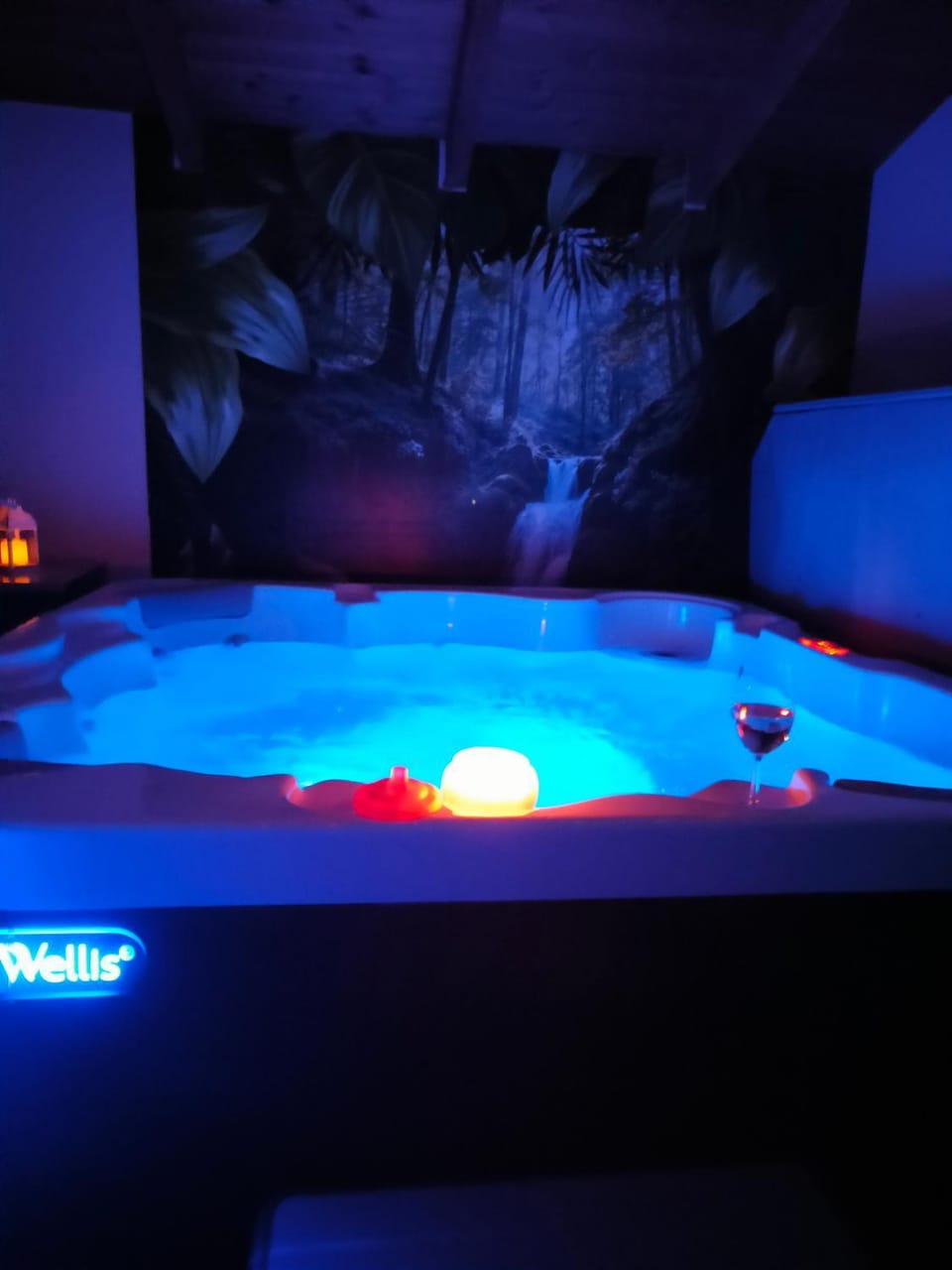 Spa and wellness centre/facilities, Swimming pool