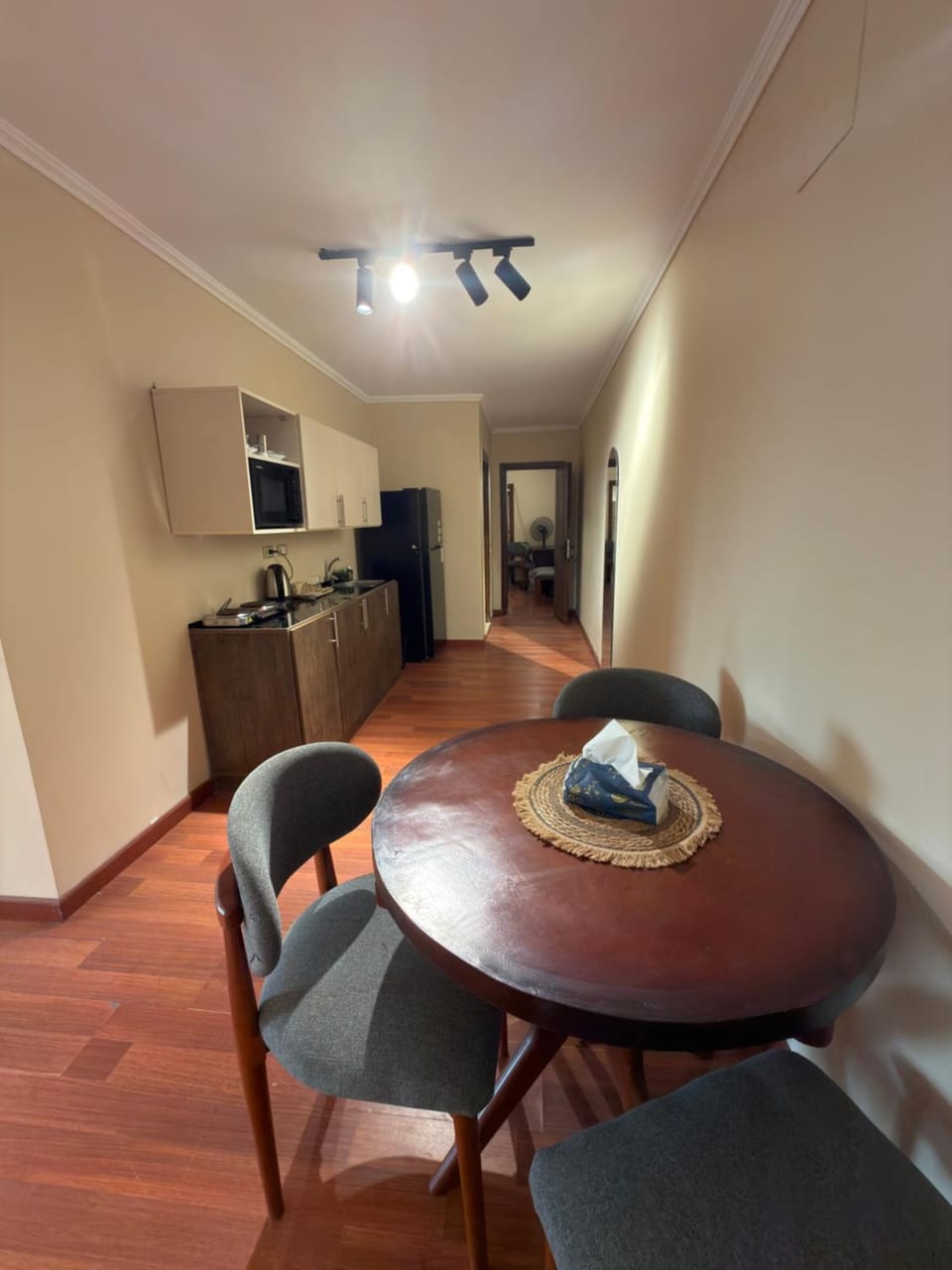 Garden city Nile Apartment in Cairo