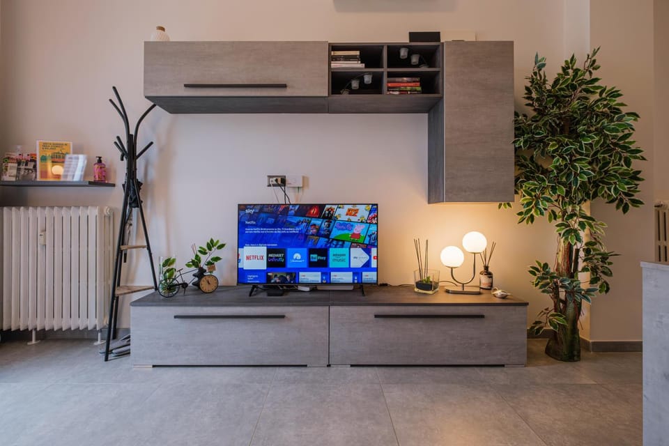 TV and multimedia