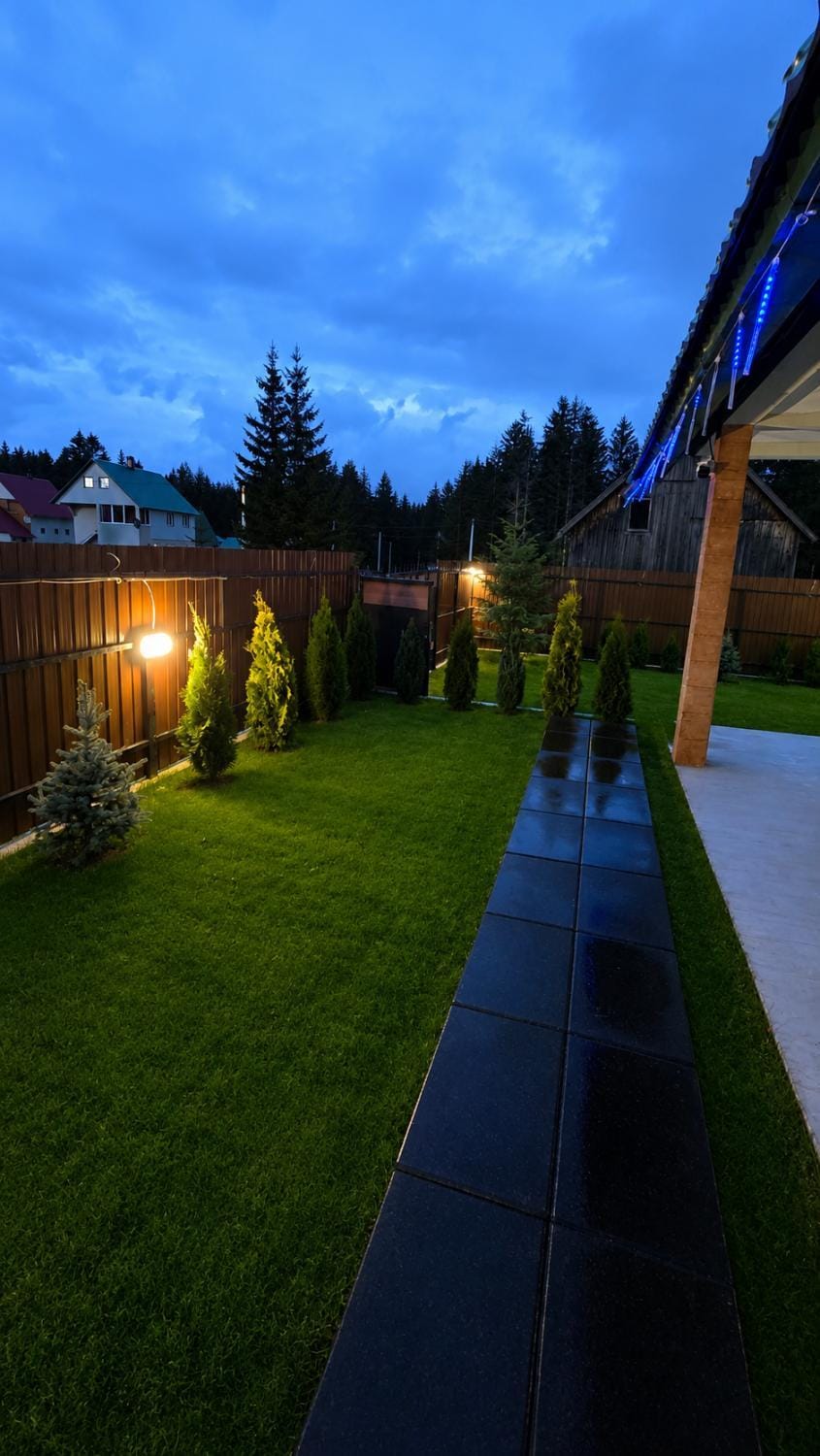 Night, Garden, Garden view