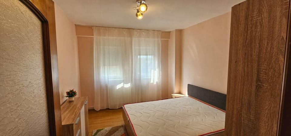 Casa Vasy Apartment in Timisoara