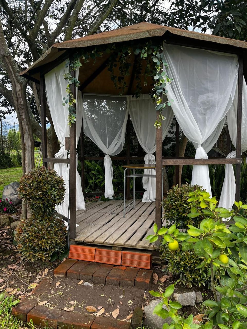 Patio, Garden