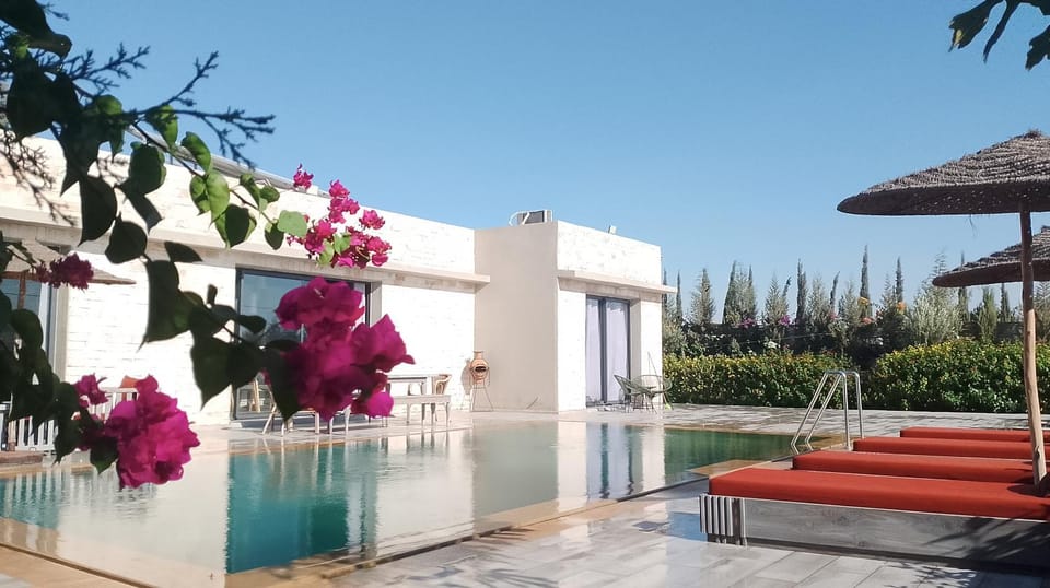 Garden, Garden view, Swimming pool, sunbed