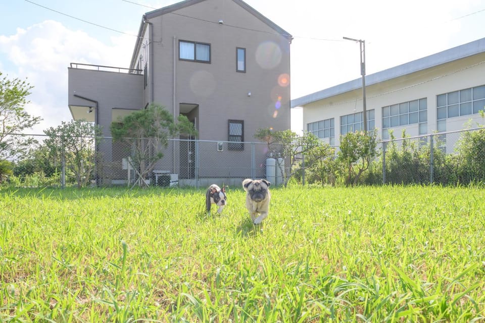 海まで徒歩3分,ペット歓迎,広々庭付き一棟貸切宿,KUKAI-空海-Isumi House in Chiba Prefecture