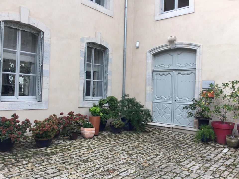 Appartement charmant au cœur de Vesoul avec parking privé - FR-1-583-509 House in Bourgogne-Franche-Comté