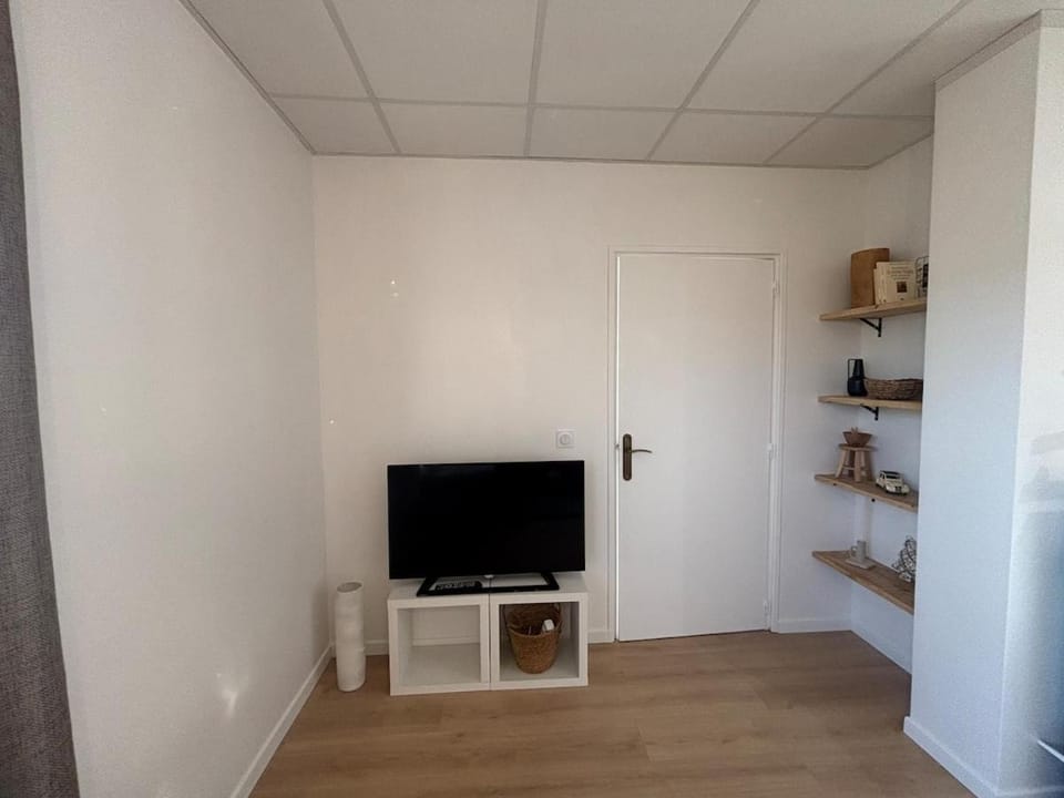 Communal lounge/ TV room, TV and multimedia