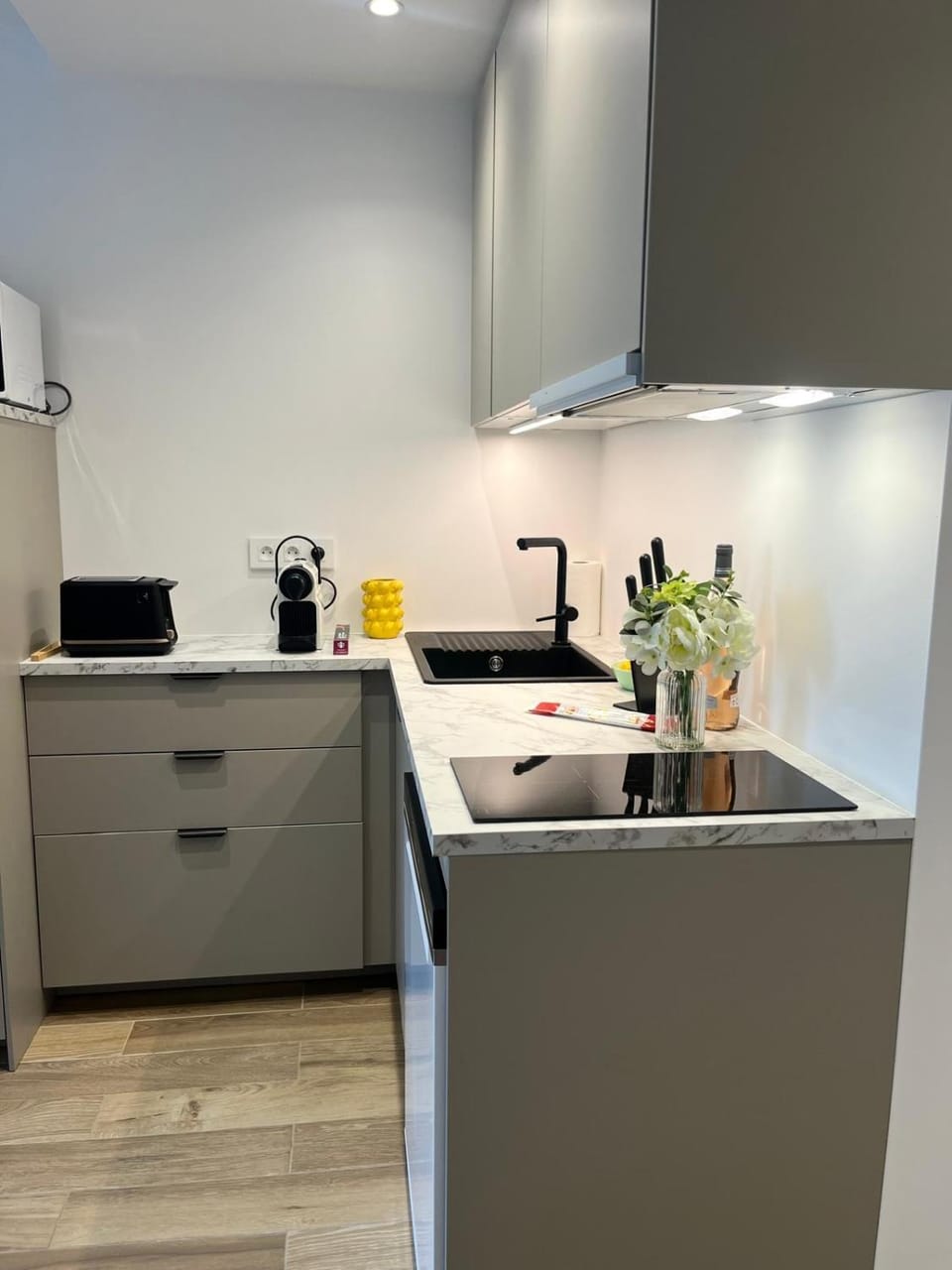 La Belle Antiboise Apartment in Antibes