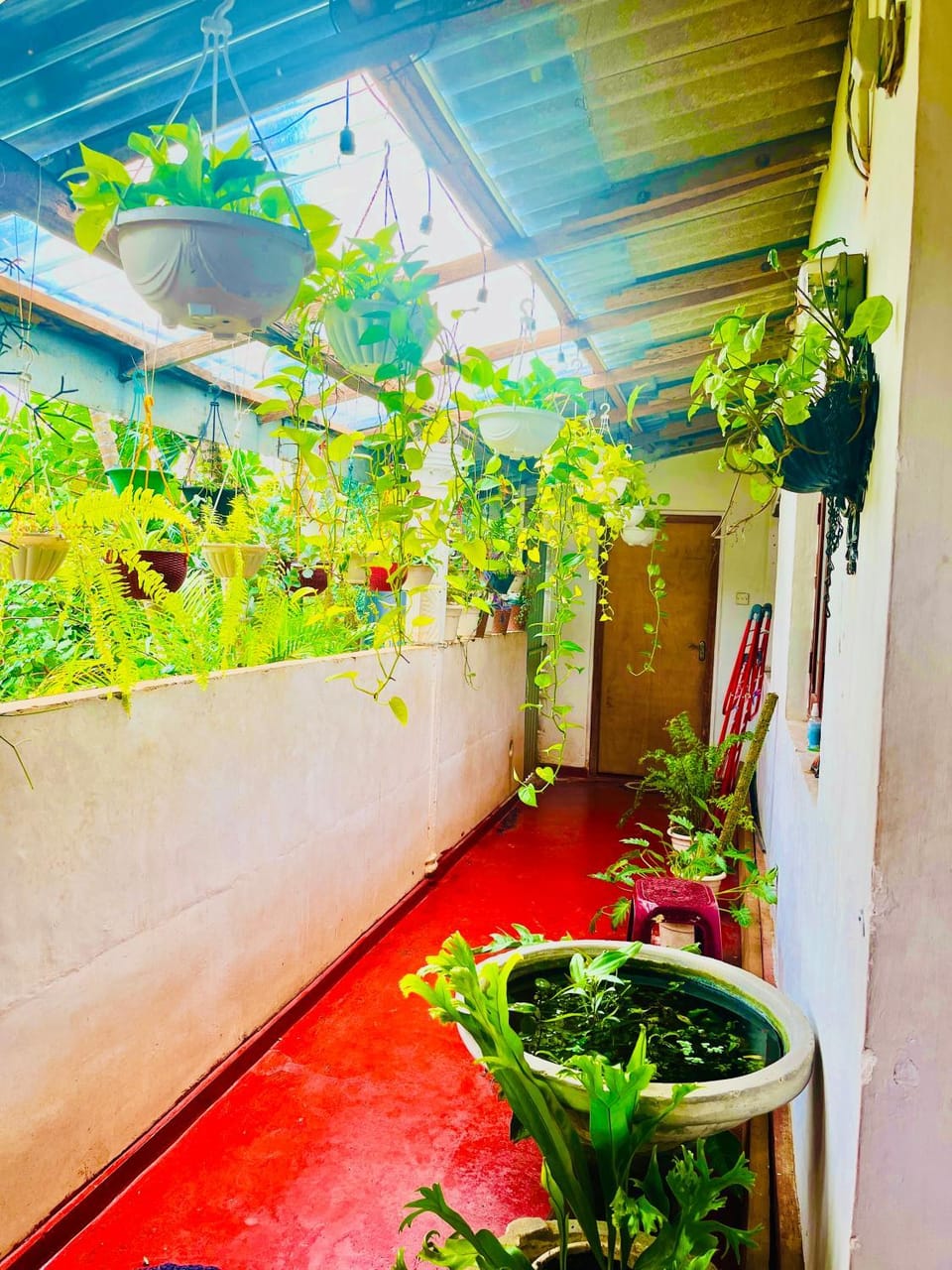Garden view