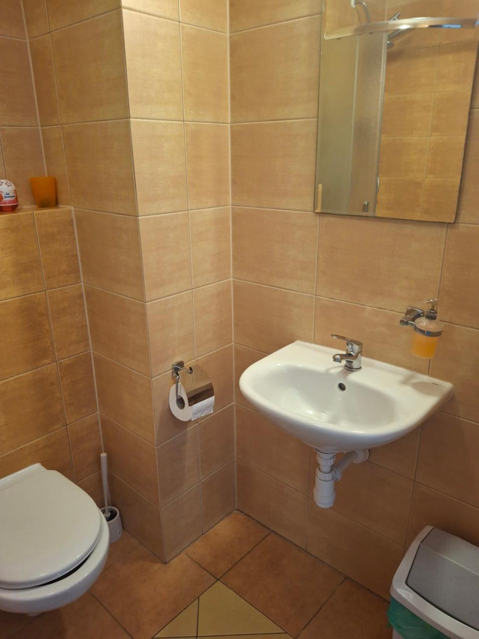 Pokoje u Ani Apartment in Belarus