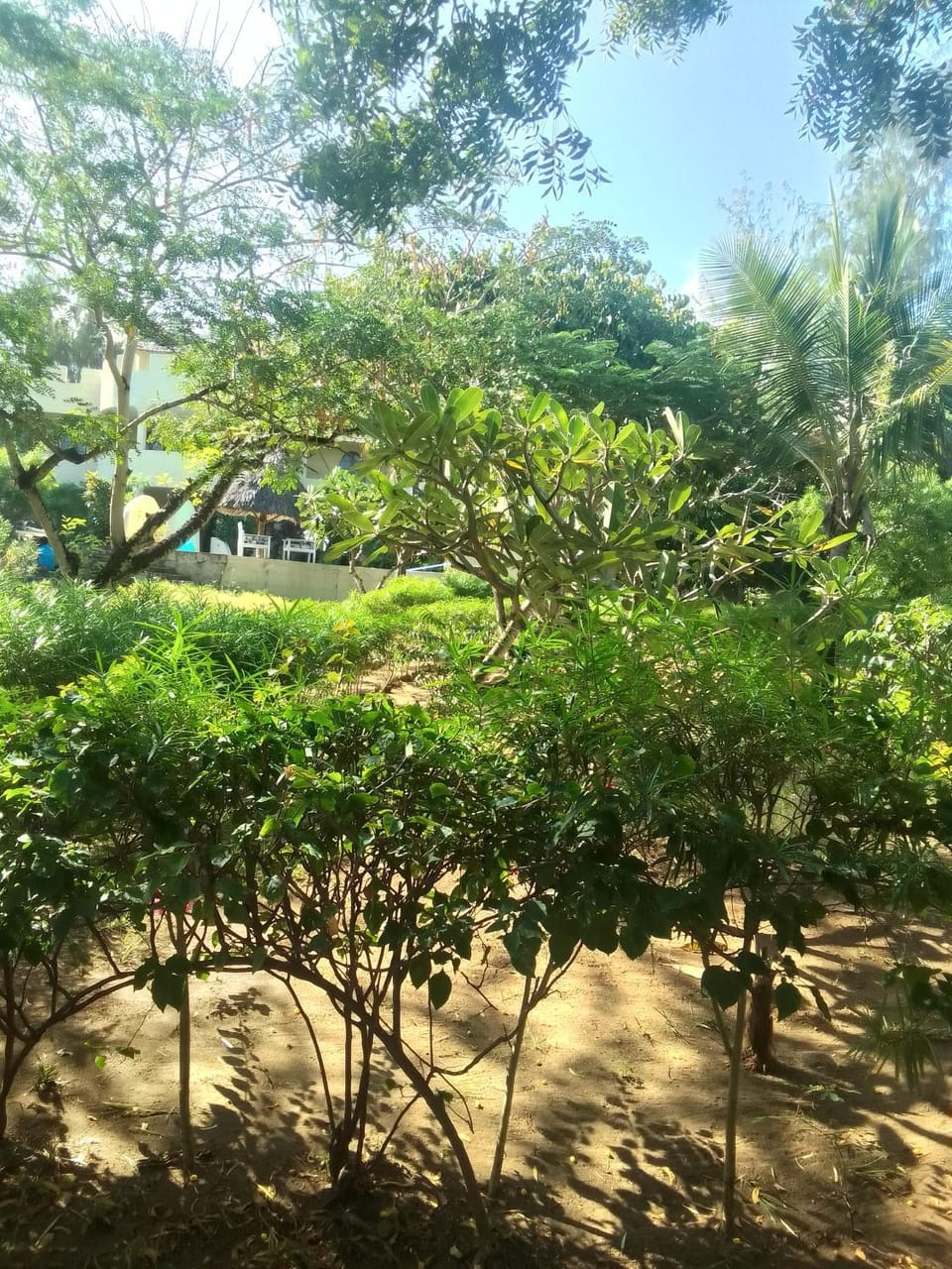 Roadstar Homes agency Apartment in Kenya