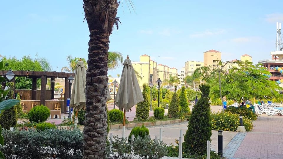 Property building, Day, Natural landscape, Garden, City view, Garden view