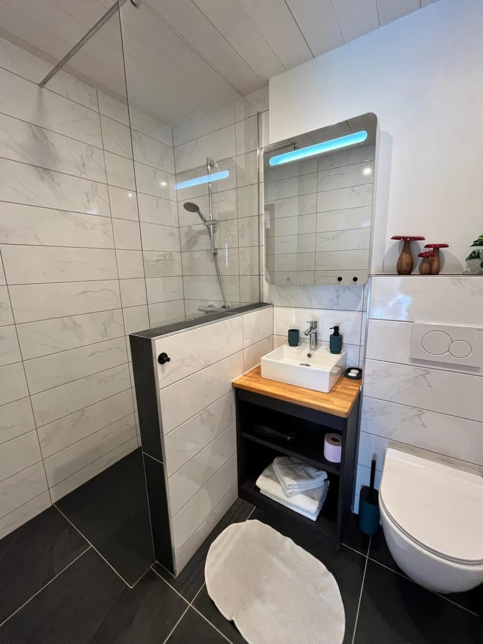 Toilet, Bathroom