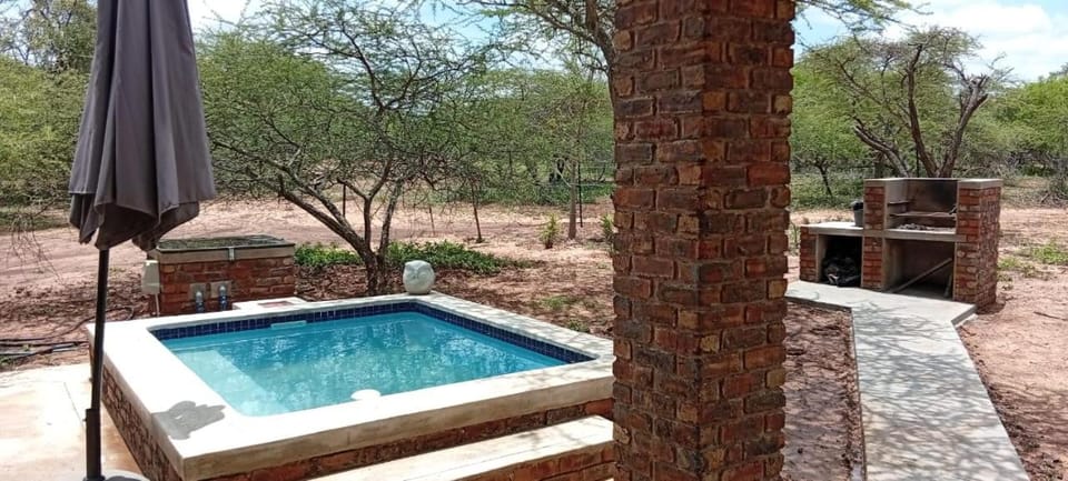 Garden, Swimming pool